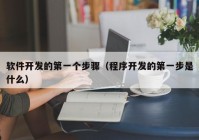 软件开发的第一个步骤（程序开发的第一步是什么）