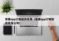 安徽app订制软件开发（安徽app订制软件开发公司）