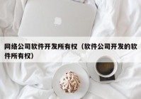 网络公司软件开发所有权（软件公司开发的软件所有权）