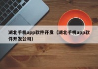 湖北手机app软件开发（湖北手机app软件开发公司）