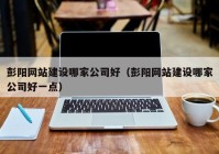 彭阳网站建设哪家公司好（彭阳网站建设哪家公司好一点）